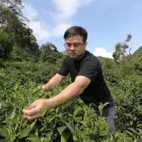 台湾新北青农陈宣和製茶 扬名国际