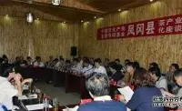 中国文化产业发展专项基金考察团考察凤冈茶产业茶文化