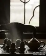 普洱茶茶气