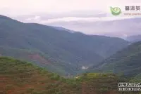 七彩云南·西双版纳 普洱茶的圣地