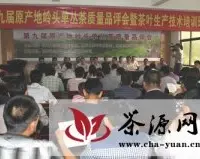 浮滨镇举办原产地岭头单丛茶质量品评会