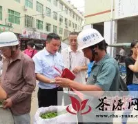 福鼎法院四项举措助力茶业经济发展