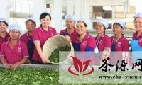 乌石场长承诺组织高香茶班女工上京城