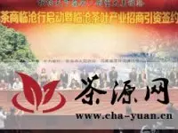 云南省临沧签下46亿元茶产业大单