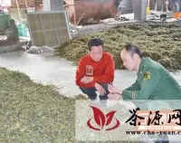 宁德牙城边防民警帮茶农网络卖茶