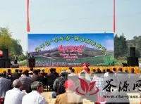 武平县“年年春”首届采茶节举行
