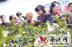 宜兴市湖滏镇举办新茶开采节