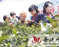 宜兴市湖滏镇举办新茶开采节