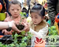 “茶苗亲手种，春天带回家”公益活动在天津彩悦城举行