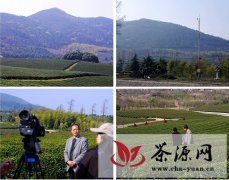 中国气象频道来宜兴拍摄《三农新气象-明前茶》节目