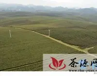湄潭合力打造茶产业和茶文化“双翼”
