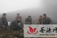 三明农技人员为茶农传授防寒抗冻技术