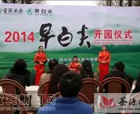 2014早白尖开园仪式在高县举行