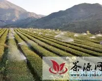 水利设施为安溪茶业发展输送甘流