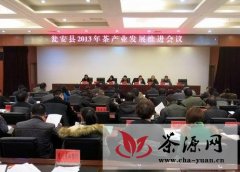 瓮安县召开2013年茶产业发展推进会