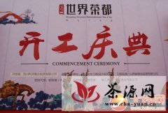 中国·蒙顶山·世界茶都举行开工庆典