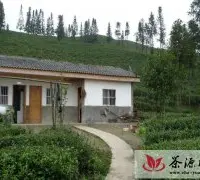 云南省农业厅专家组验收标准茶园建设