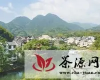“美丽中国·寻找福建最美茶乡”之寿宁行