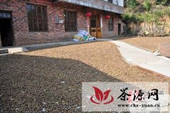 攸县成功申报湖南省年度茶油大县项目