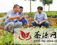 安溪县农技人员引导茶企发展有机茶