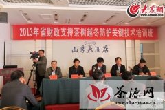 山东省财政支持茶树越冬防护技术项目会议在日照举行