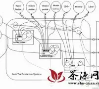 华南植物园安溪铁观音茶叶产业链生态经济评价研究获进展