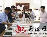 第四届“华南杯”斗茶大赛在东莞启动