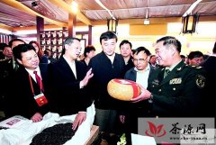 首届中国黄茶文化节打造岳阳茶文化大市