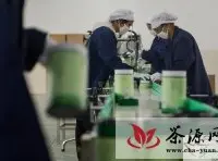 中国首个黄茶产业园在岳阳建成投产