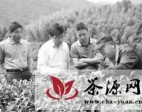 连城县将投建1500亩台湾高山乌龙茶基地