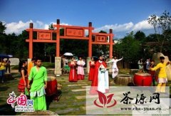 《印象大红袍》恢复茶博园体验项目