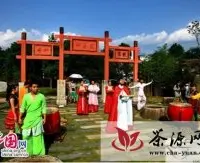 《印象大红袍》恢复茶博园体验项目