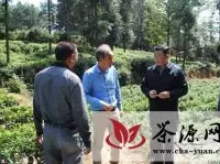 贵州省农委率团调研田坝有机茶示范园区建设