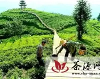 宣恩县整合力量建设茶文化主题公园