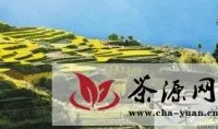 美丽中国·寻找福建最美茶乡之政和行