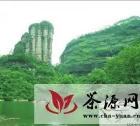 福建茶区茶文化旅游线路国庆长假大热