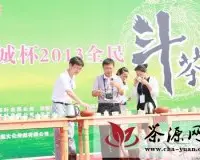 信阳国际茶城杯2013全民斗茶大赛初赛完美落幕