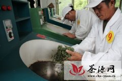 杭州余杭径山茶炒制技能大赛在四岭名茶厂举行