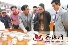 广东仁化县扶持茶叶产业发展纪实