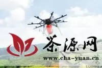 南靖县万亩生态茶园用遥控飞机喷洒农药