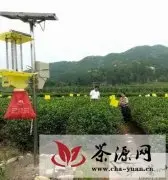 岳西县建立千亩茶叶绿色防控示范区