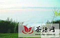 泉水节泉韵茶香博览会将于8月31日举行