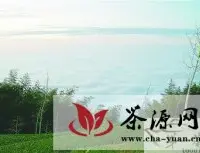泉水节泉韵茶香博览会将于8月31日举行