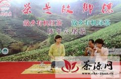 韩国考察团赴昭平县开展茶文化交流