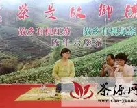 韩国考察团赴昭平县开展茶文化交流