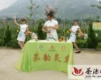 济南灵岩茶被选为第十届中国艺术节指定用茶