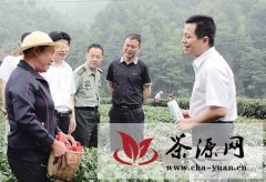 紫阳创建全国富硒茶产业知名品牌示范区侧记