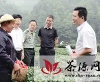 紫阳创建全国富硒茶产业知名品牌示范区侧记