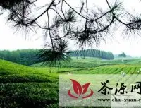 茶海之心获贵州省100个旅游景区考核组好评