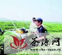 贵州省“十一五”茶叶科技重大专项通过专家组验收